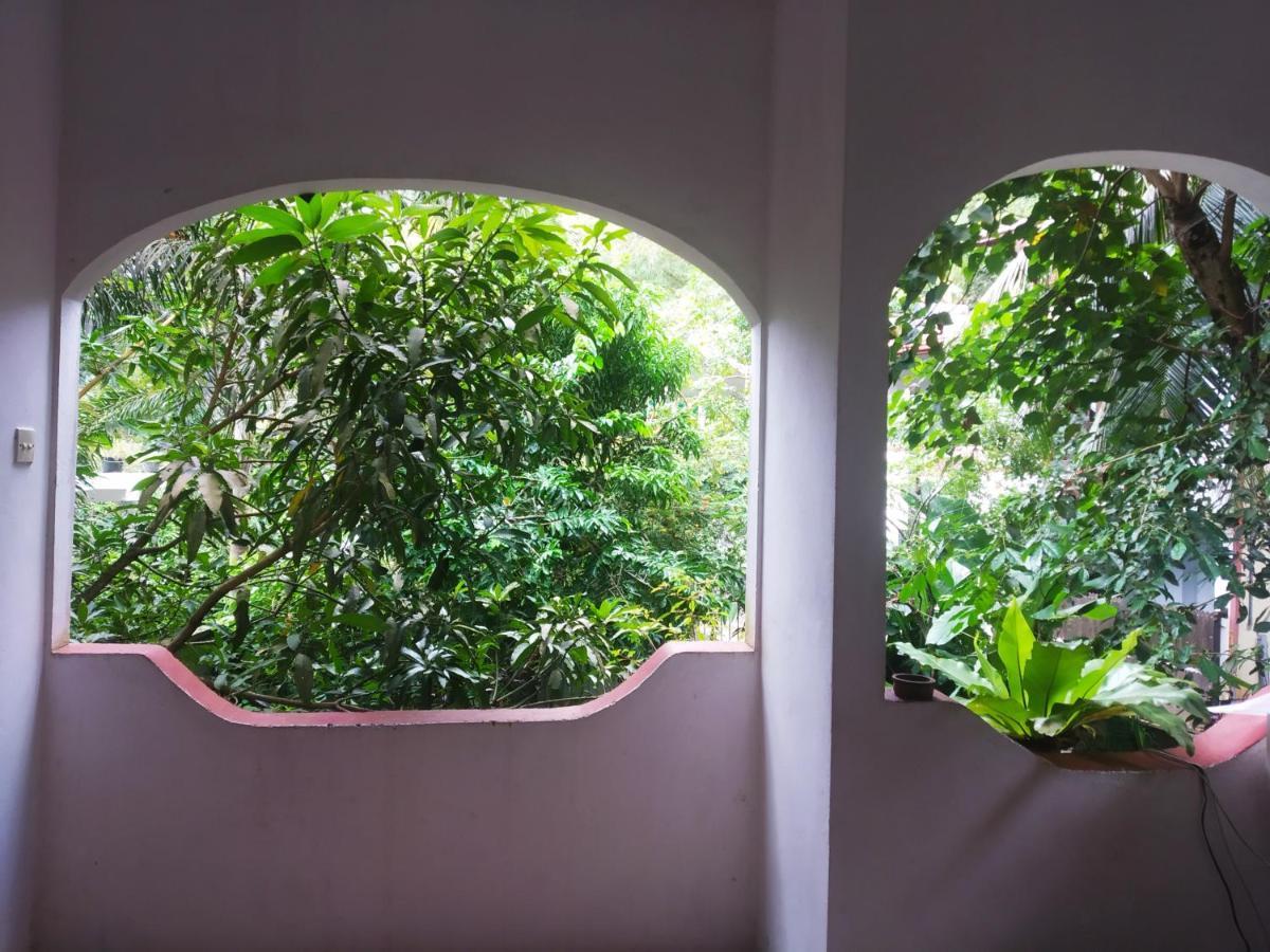 汉莎住宿加早餐旅馆 乌纳瓦图纳 外观 照片